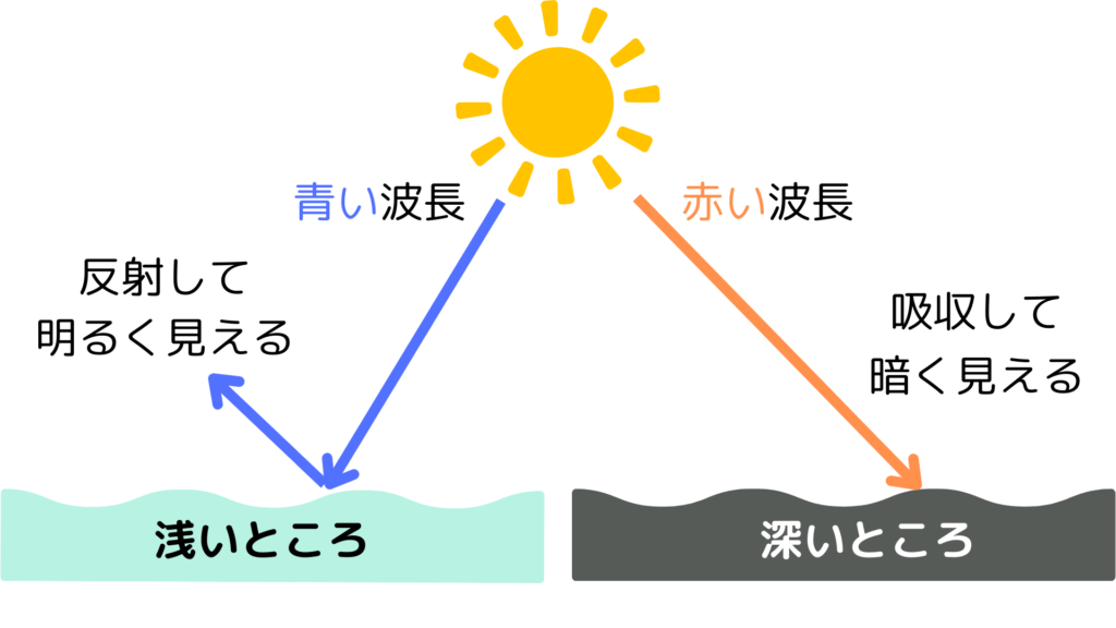 サンドバー海の色の仕組み